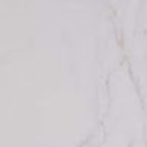 Meet your Posher, Craig